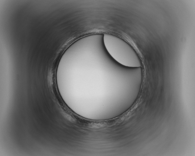 X0000114490106200910191124
