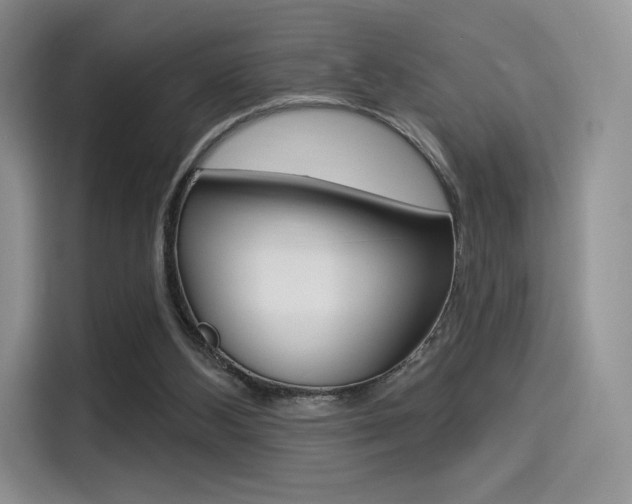 X0000114490108200910191124