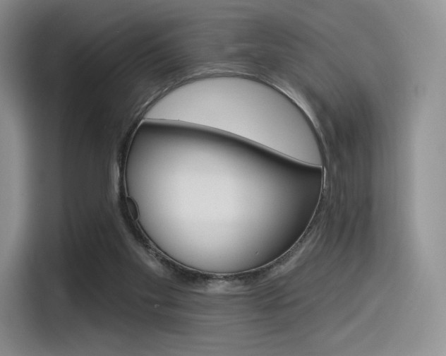 X0000114490109200910191124