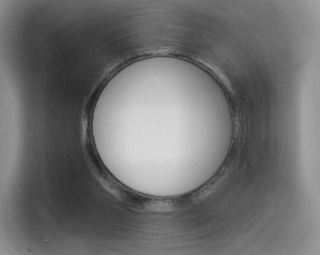 X0000114490110200910191124