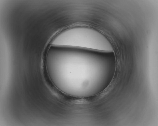 X0000114490112200910191124
