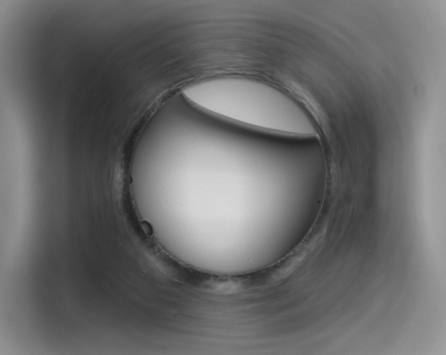 X0000114490113200910191124