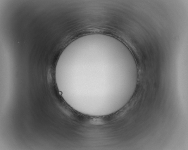 X0000114490114200910191124