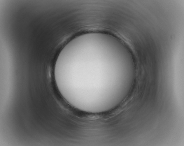 X0000114490115200910191124