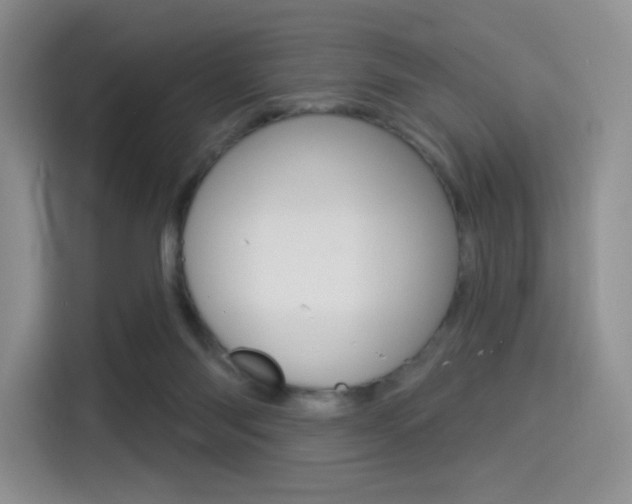 X0000114490118200910191124