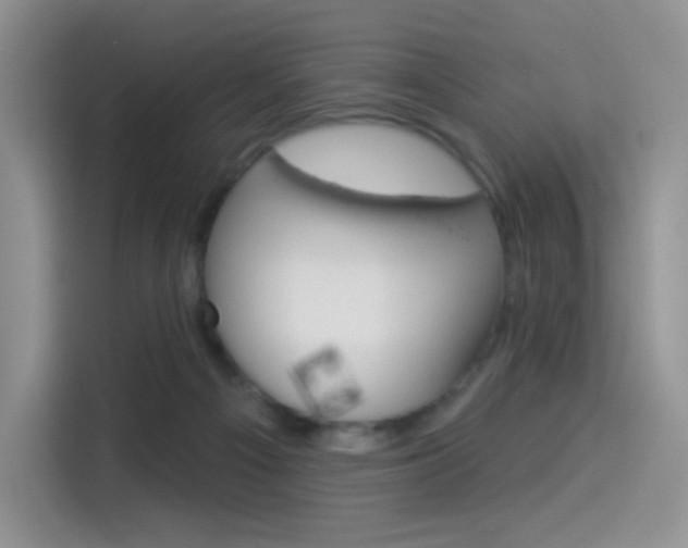 X0000114490121200910191124