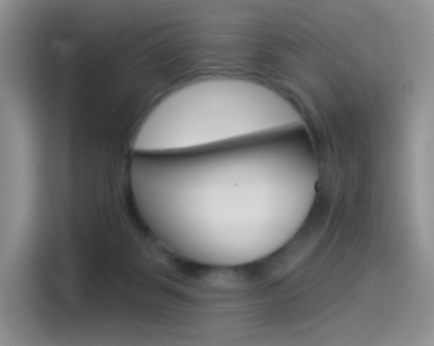 X0000114490123200910191124