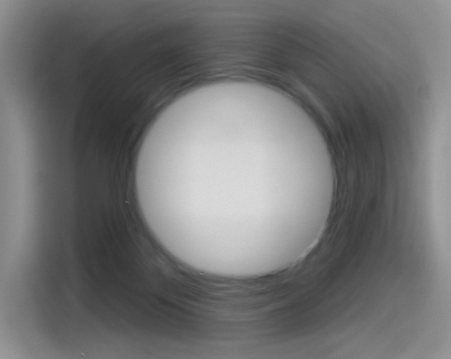 X0000114490124200910191124