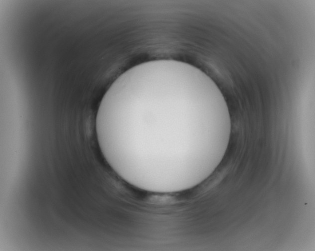 X0000114490133200910191124