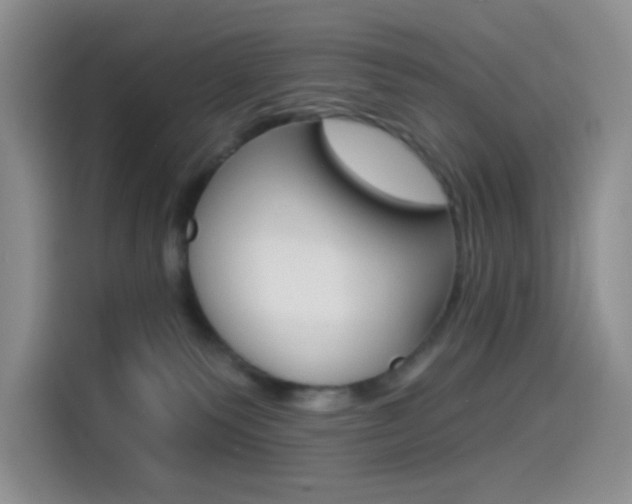 X0000114490135200910191124
