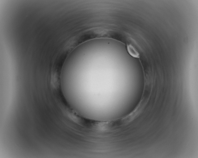 X0000114490136200910191124