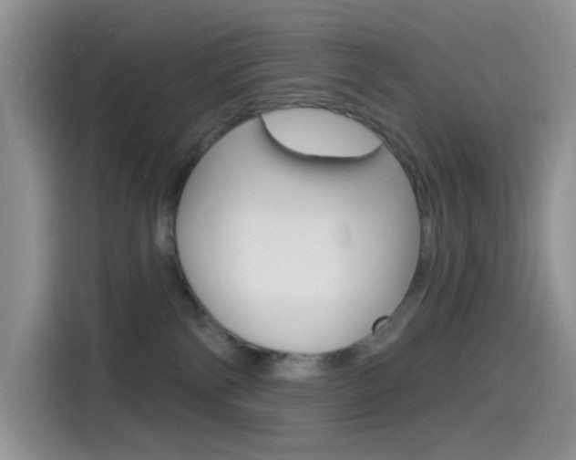 X0000114490138200910191124