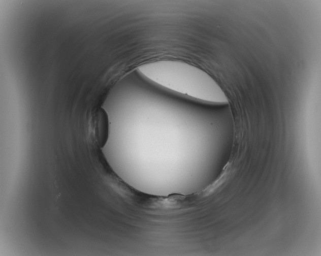 X0000114490140200910191124