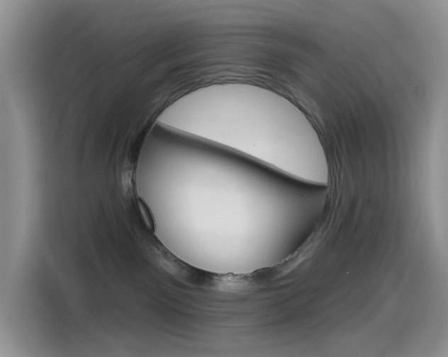 X0000114490141200910191124