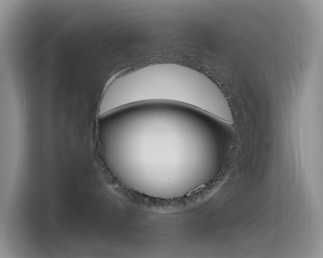X0000114490144200910191124