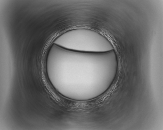 X0000114490145200910191123