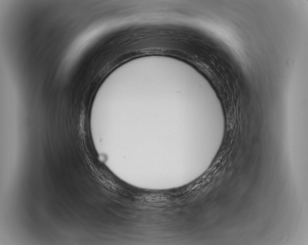 X0000114490146200910191123