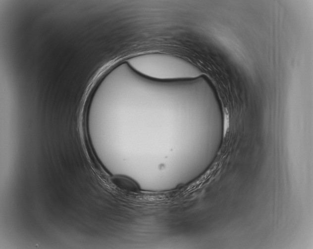 X0000114490147200910191123