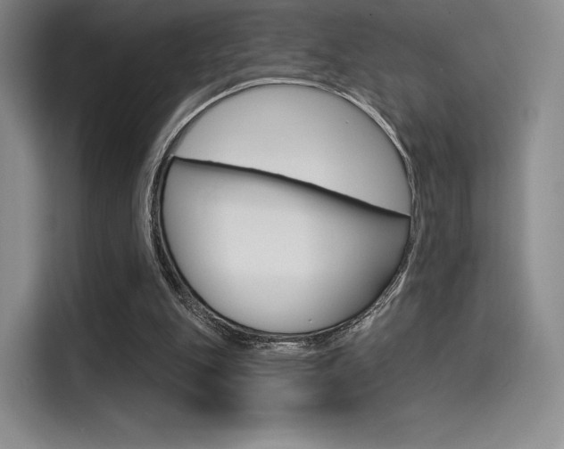 X0000114490151200910191123