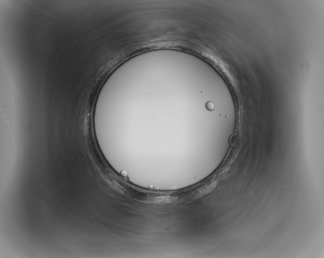 X0000114490153200910191123