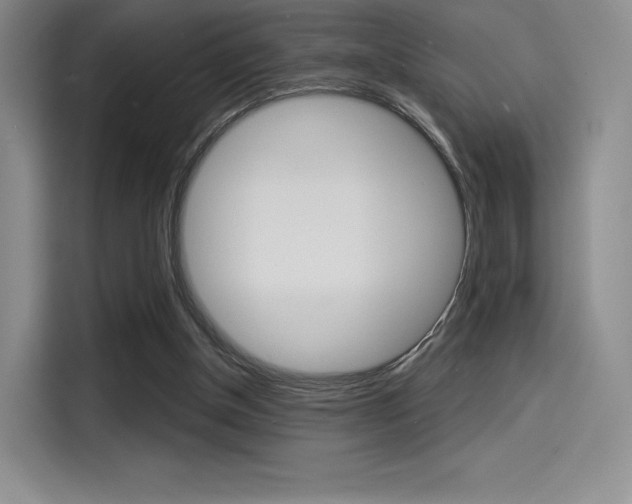 X0000114490154200910191123