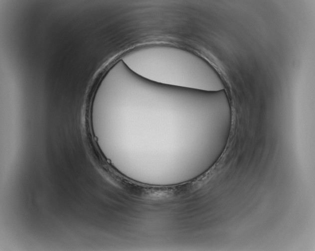 X0000114490155200910191123