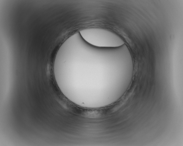 X0000114490161200910191123