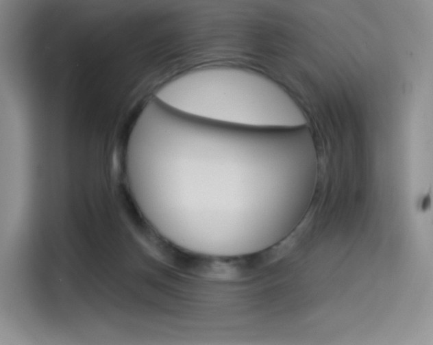 X0000114490166200910191123