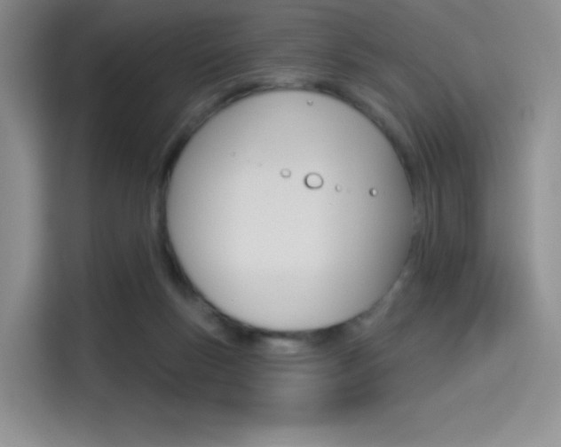 X0000114490167200910191124