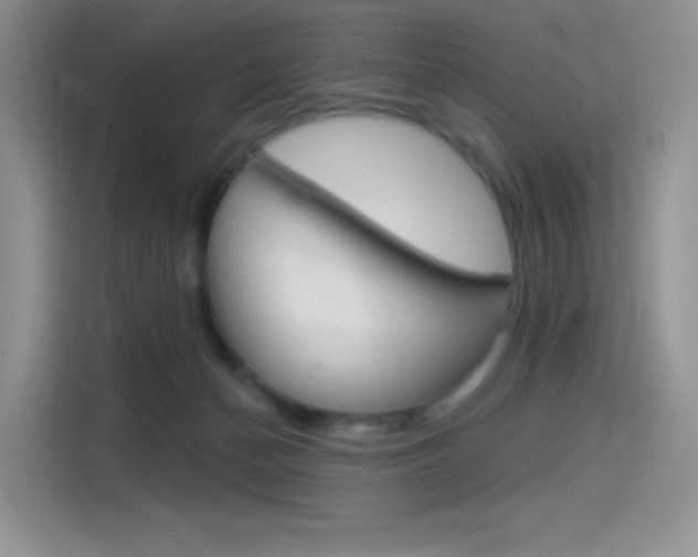 X0000114490174200910191124
