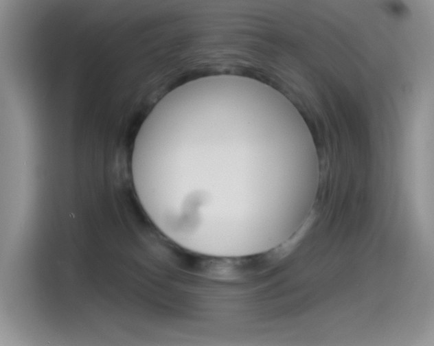 X0000114490182200910191124
