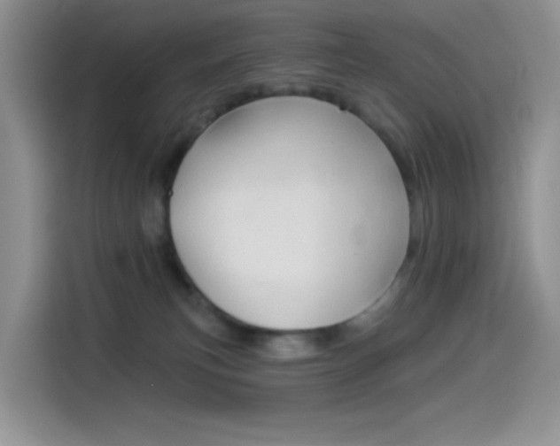 X0000114490183200910191124