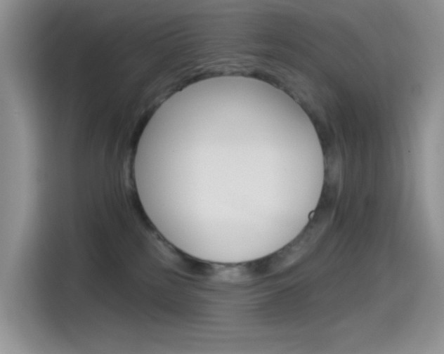 X0000114490185200910191124