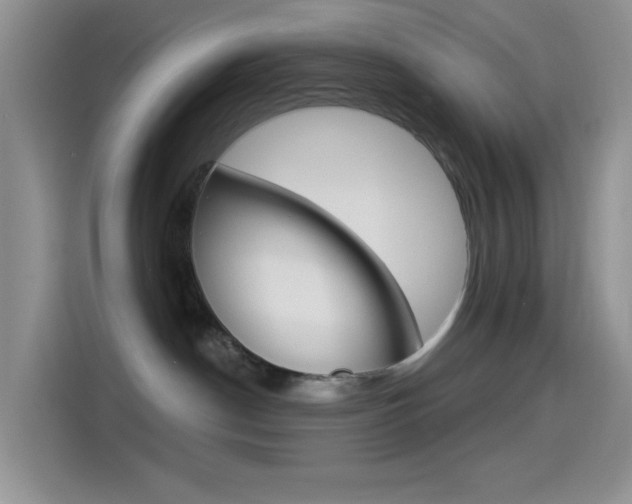 X0000114490190200910191124