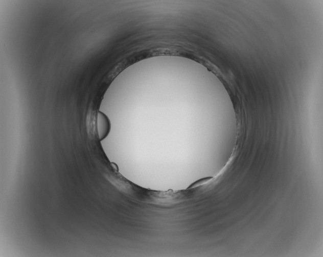 X0000114490191200910191124