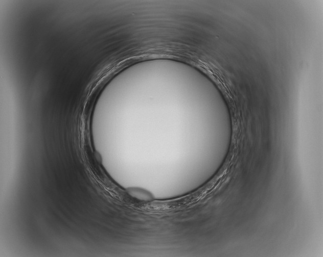 X0000114490194200910191123