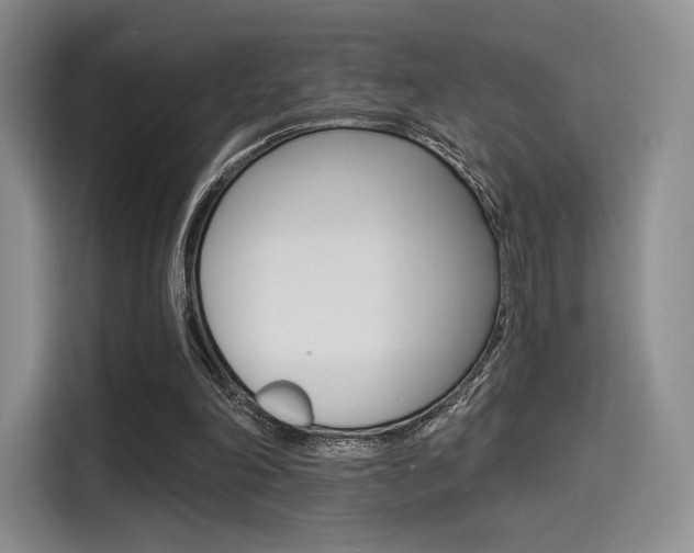 X0000114490198200910191123
