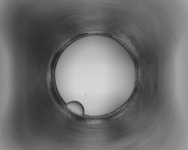X0000114490202200910191123