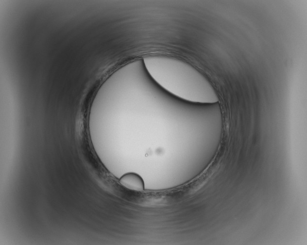X0000114490206200910191123