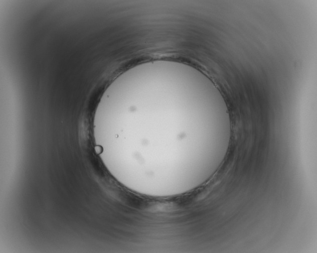 X0000114490210200910191123