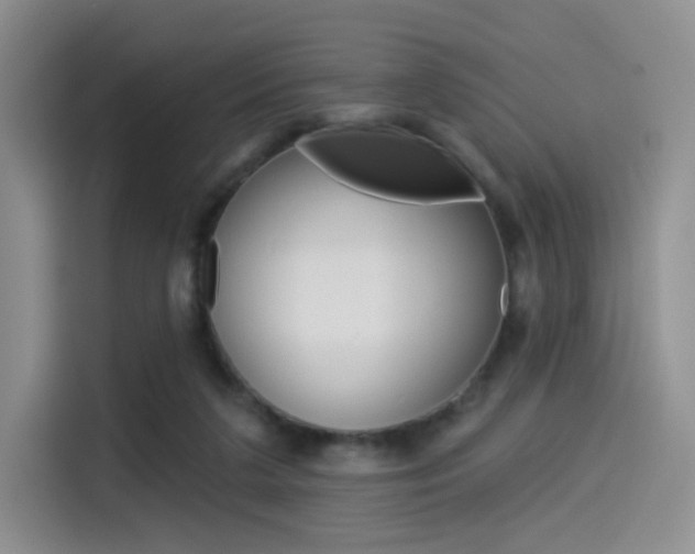X0000114490211200910191123