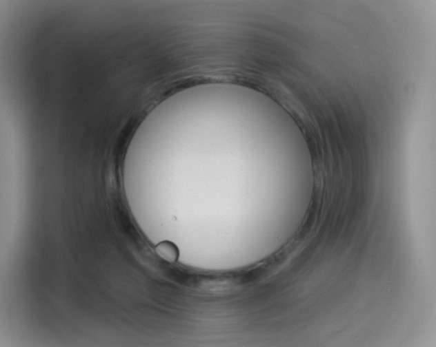 X0000114490213200910191123