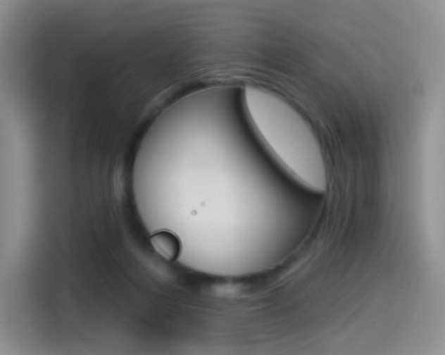 X0000114490216200910191123