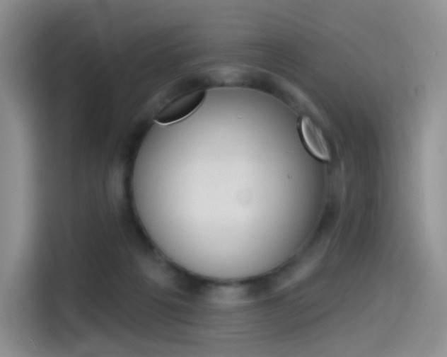 X0000114490217200910191123