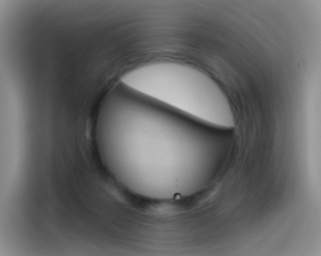 X0000114490219200910191123