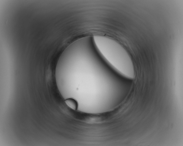 X0000114490220200910191123
