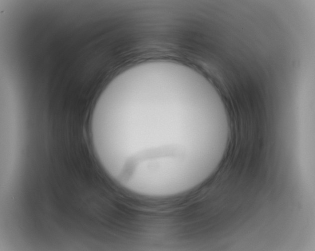X0000114490221200910191123