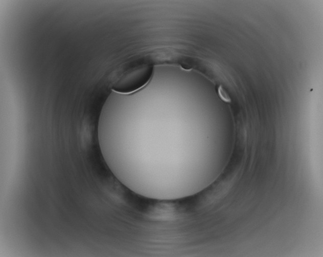 X0000114490227200910191123