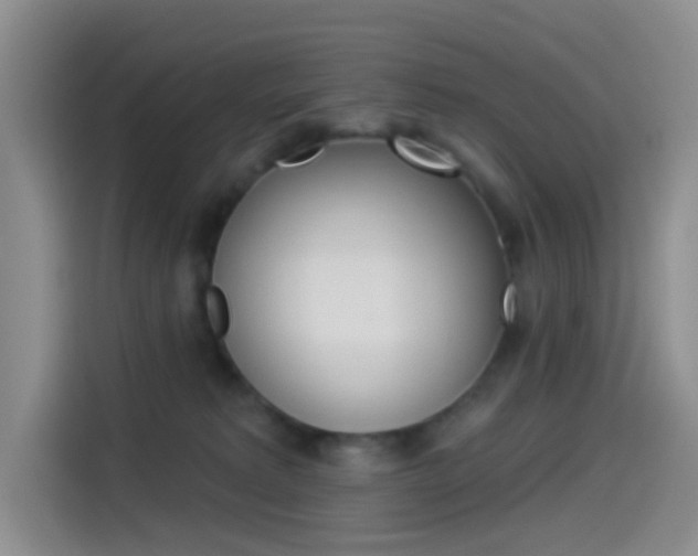 X0000114490229200910191123
