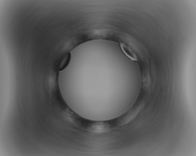 X0000114490231200910191123